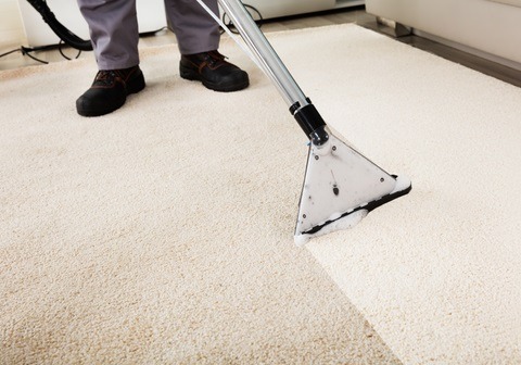 Carpet cleaning | Grand County Colorado |