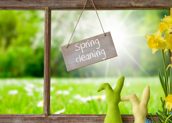 Spring cleaning - image | Grand County, Colorado |