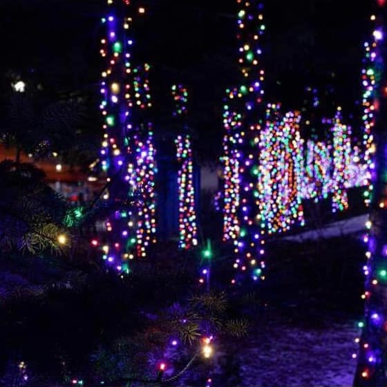 Professional Holiday Christmas Light Installation | Grand County, Colorado