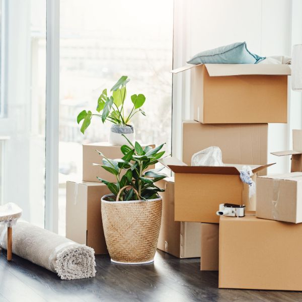 Move-22