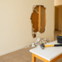 DIY Remodeling Disasters (and When It’s Time to Call in the Pros)