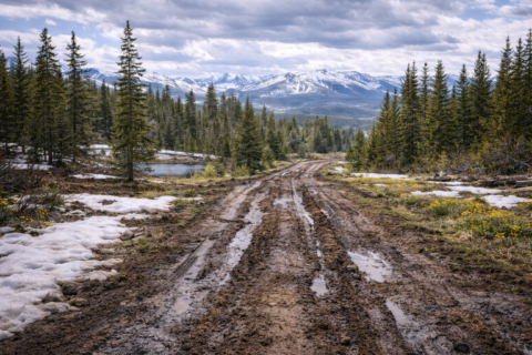 The Secret Perks of Mud Season (Yes, They Exist)